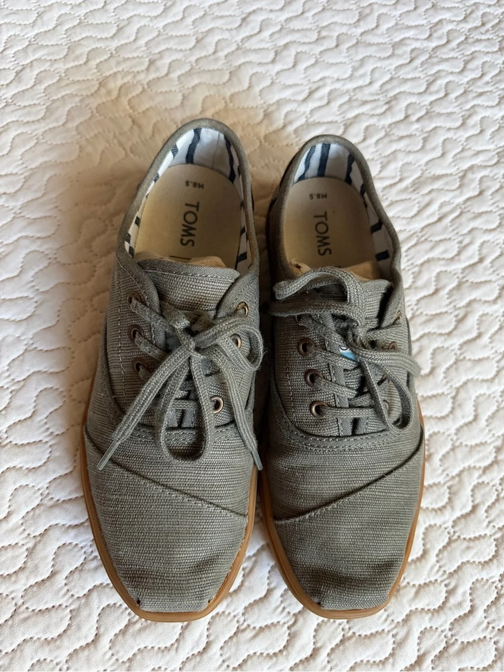 TOMS Men's Sage Olive Canvas Lace-Up Low Top Gum Sole Sneakers 8.5